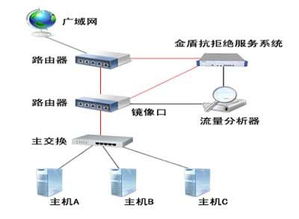 中新软件程丽敏 抗拒绝服务解决方案