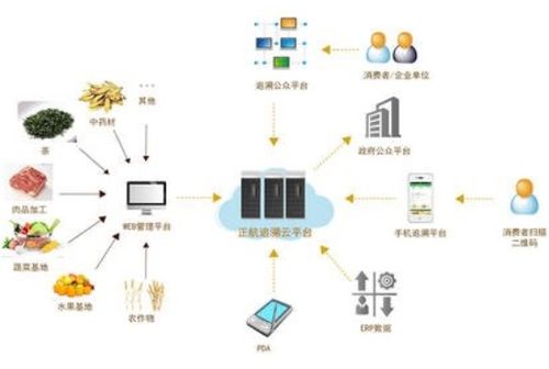 食品加工追溯系统软件设计开发解决方案