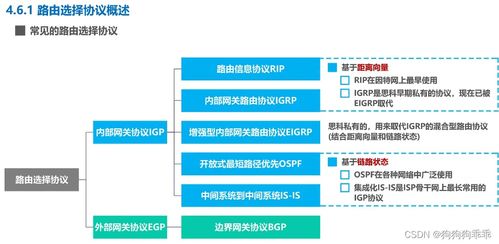 计算机网络 网络层 路由 路由信息协议rip